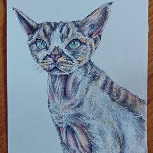 Puede incluir: Un dibujo a lápiz detallado de un gato Cornish Rex con un pelaje blanco, marrón y negro. El gato tiene ojos verdes y una expresión curiosa.