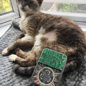 Puede incluir: Un gato gris y blanco con pelo rizado est&aacute; tumbado en una manta gris y peluda. Una caja verde, rosa y dorada con el texto "Inner Alchemy Oracle" est&aacute; delante del gato.