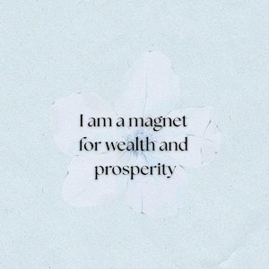 Abundance and Wealth Manifestation - quote pack