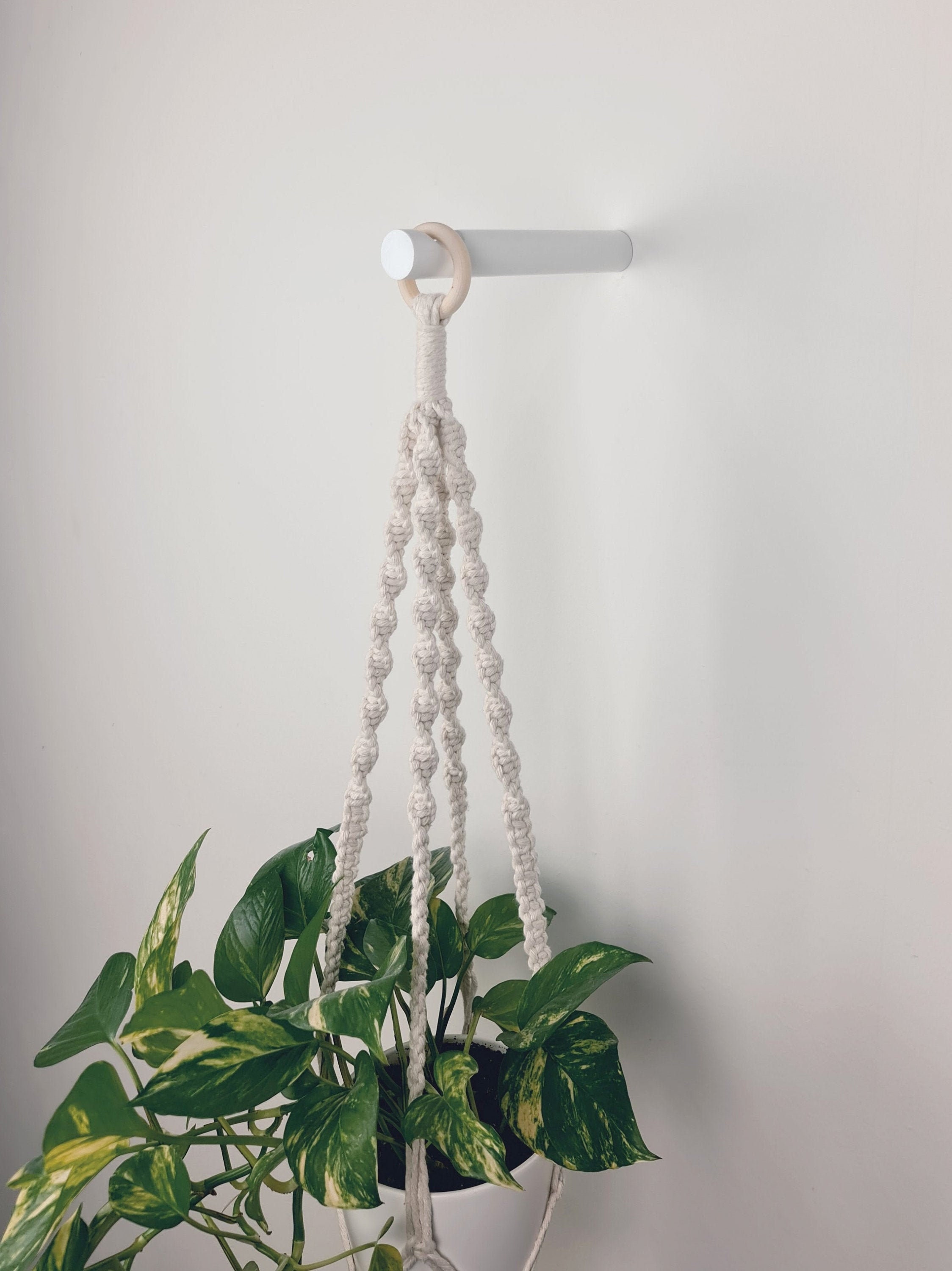 Buy Plant Hooks Online In India -  India