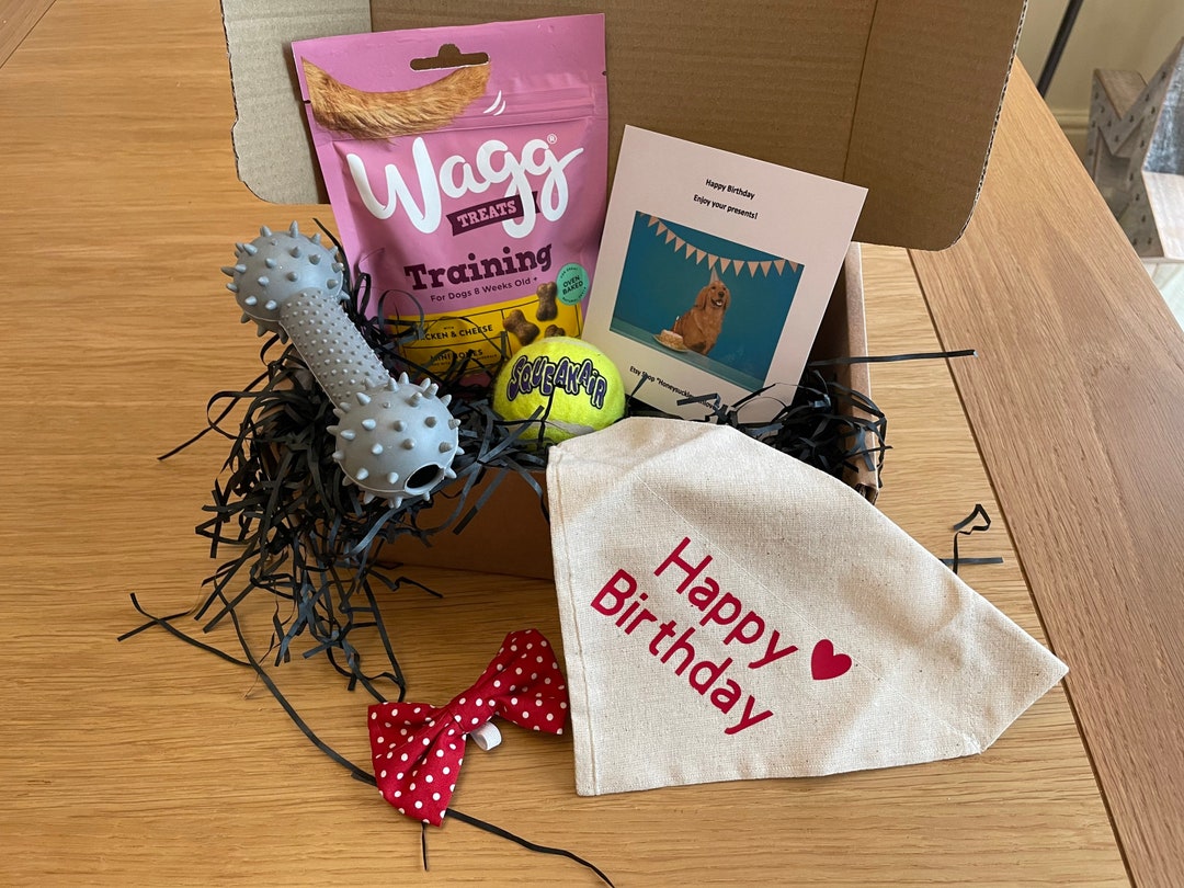 Dog Birthday Gift Box Dogs Birthday Happy Birthday Dog Etsy UK
