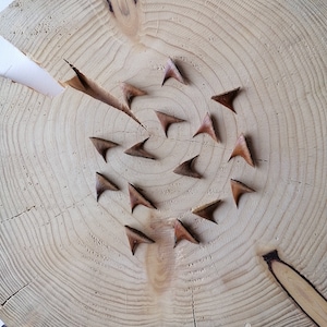 Op de afbeelding: Een houten cirkel met een natuurlijk houtnerfpatroon. De cirkel heeft een reeks kleine, driehoekige houten stukjes die in een spiraalvorm zijn gerangschikt.