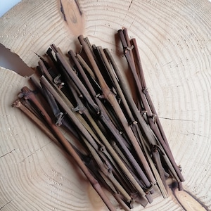 Natur Trauben Sticks, 40 Stück, Kausticks, Holzstäbchen