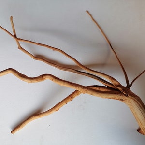 Puede incluir: Una rama de madera flotante marrón natural con múltiples ramas y una forma retorcida. La madera flotante es perfecta para usar en terrarios, acuarios o como elemento decorativo.