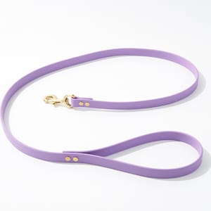 Standard 4 Foot Dog Leash: 3/4&quot; Waterproof Biothane with Custom Colors and Natural Brass Hardware