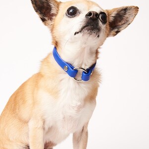 Slip-On ID Tag Collar: 1/2" Waterproof Biothane with Nickel Plated Hardware image 3