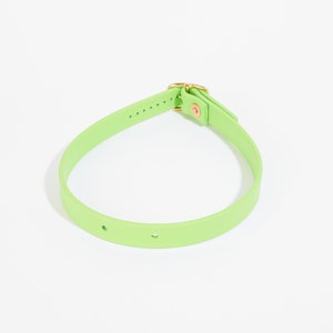 May include: A bright green silicone dog collar with a gold buckle. The collar has two small holes on the underside.