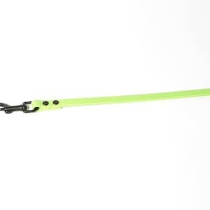 Puede incluir: Una correa para perro de color verde lima con un clip de metal negro.