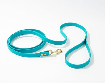 Standard 7 Foot Dog Leash: 3/4" Waterproof Biothane with Custom Colors and Natural Brass Hardware