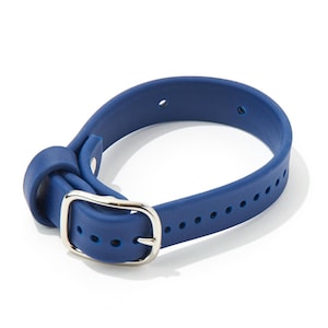 May include: A blue rubber dog collar with a silver buckle. The collar has a textured surface and multiple small holes.