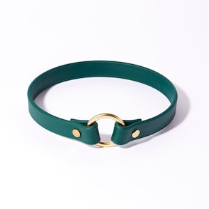 Slip-On ID Tag Collar: 3/4&quot; Waterproof Biothane with Natural Brass Hardware