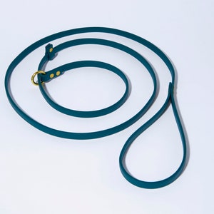 May include: A teal blue leather dog lead with a matching collar and a brass ring.
