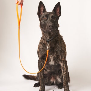 Standard 4 Foot Dog Leash: 1/2&quot; Waterproof Biothane with Custom Colors and Hardware