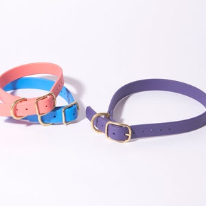 3/4&quot; Waterproof Buckle Collar: Biothane Dog Collar with Custom Colors and Hardware