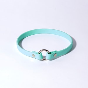 Slip-On ID Tag Collar: 1/2&quot; Waterproof Biothane with Nickel Plated Hardware