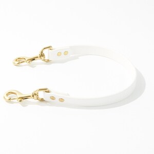 Double Snap Dog Training Tab: 3/4&quot; Waterproof Biothane with Natural Brass Hardware