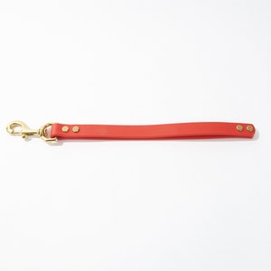 Puede incluir: Una correa de perro de cuero roja con un clip de metal dorado y dos remaches de metal dorado.