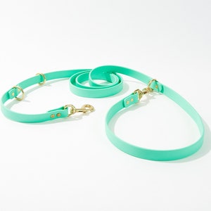 Modular Hands-Free "Police" Leash:  3/4" Waterproof Biothane with Custom Colors and Natural Brass Hardware