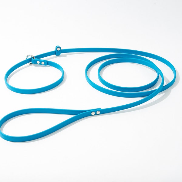 Adjustable 8 Foot Slip Leash: 1/2" Waterproof Biothane with Custom Colors and Hardware