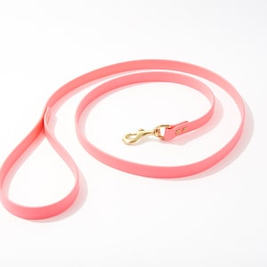 Standard 5 Foot Dog Leash: 3/4&quot; Waterproof Biothane with Custom Colors and Natural Brass Hardware