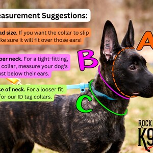 Slip-On ID Tag Collar: 1/2" Waterproof Biothane with Nickel Plated Hardware image 7