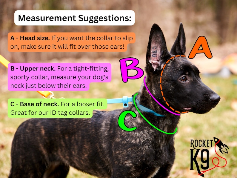 Slip-On ID Tag Collar: 1/2" Waterproof Biothane with Nickel Plated Hardware image 7