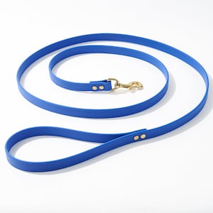 Standard 6 Foot Dog Leash: 3/4&quot; Waterproof Biothane with Custom Colors and Natural Brass Hardware