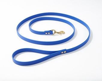Standard 6 Foot Dog Leash: 3/4" Waterproof Biothane with Custom Colors and Natural Brass Hardware