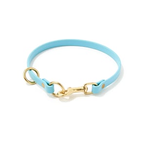 May include: A light blue dog collar with gold-colored hardware. The collar is made of a flexible material and features a metal clasp and a ring for leash attachment. The collar is designed for pets.