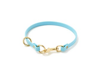 Multi-Function Waterproof Dog Collar: 1/2" Biothane Tag and Slip Collar with Custom Colors and Hardware