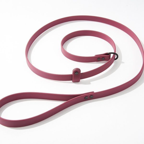 Adjustable 6 Foot Slip Leash: 3/4" Waterproof Biothane with Custom Colors and Hardware