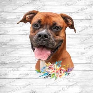 Watercolor Boxer PNG, Boxer PNG, Sublimation Design, Dog Mom, Dog PNG, Dog Sublimation Design, Sublimation, Dog Mom Design, Boxer