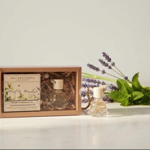 May include: A car air freshener set in a brown box with the text "Mint & Meadow". The set includes two glass bottles with wooden tops, fresh mint, lavender, and a sprig of lemongrass. The product is from Soli Deo Gloria Candle Company.
