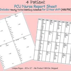 4 Patient Report Sheet Nurse Brain Great for PCU Progressive Care 12 hr Shift To Do Schedule Hand-off Day and Night Shift Instant Download