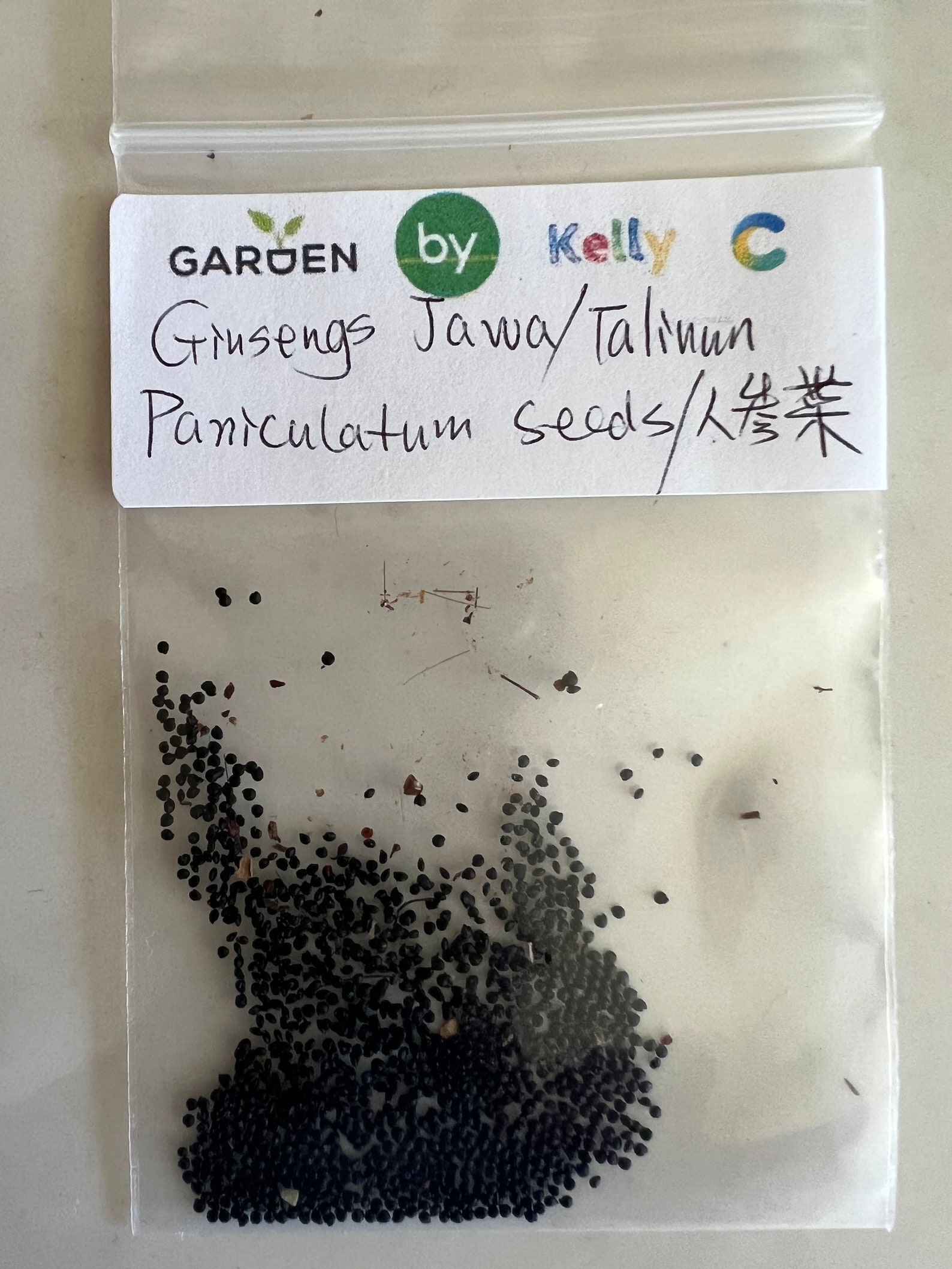 Ginsengs Jawa/talinum Paniculatum Seeds(200+ Seeds)/人参菜/土人参 - Etsy