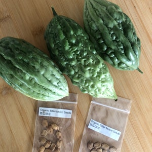 Bitter Melon (bitter gourd)Seeds (12 seeds)