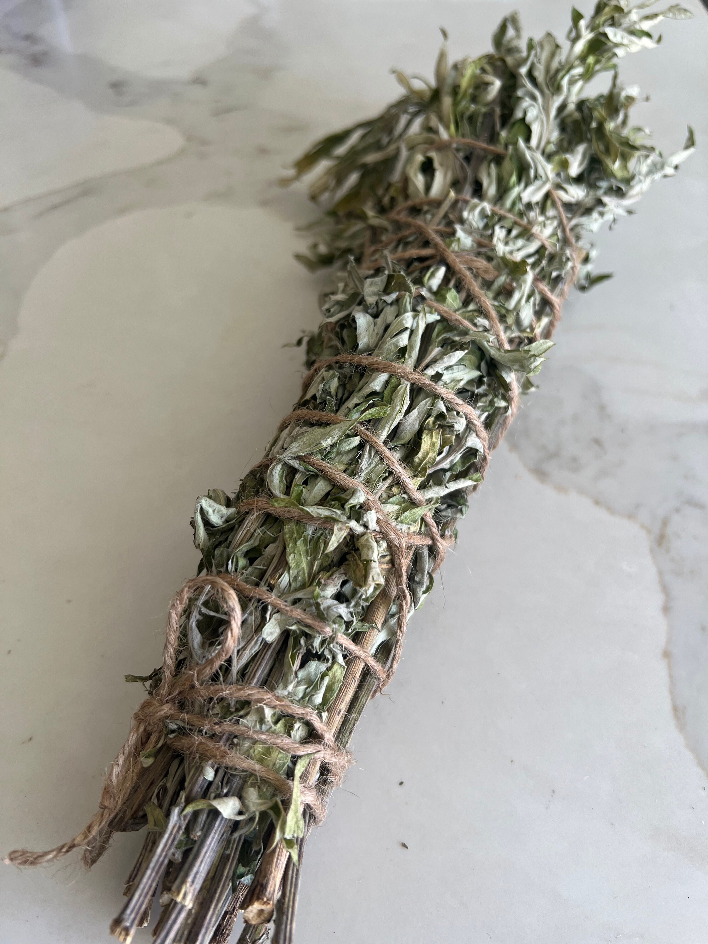 MITOSAYA MOST WORMWOOD 2020 新品未開封 093 MOST WORMWOOD – mitosaya botanical distillery