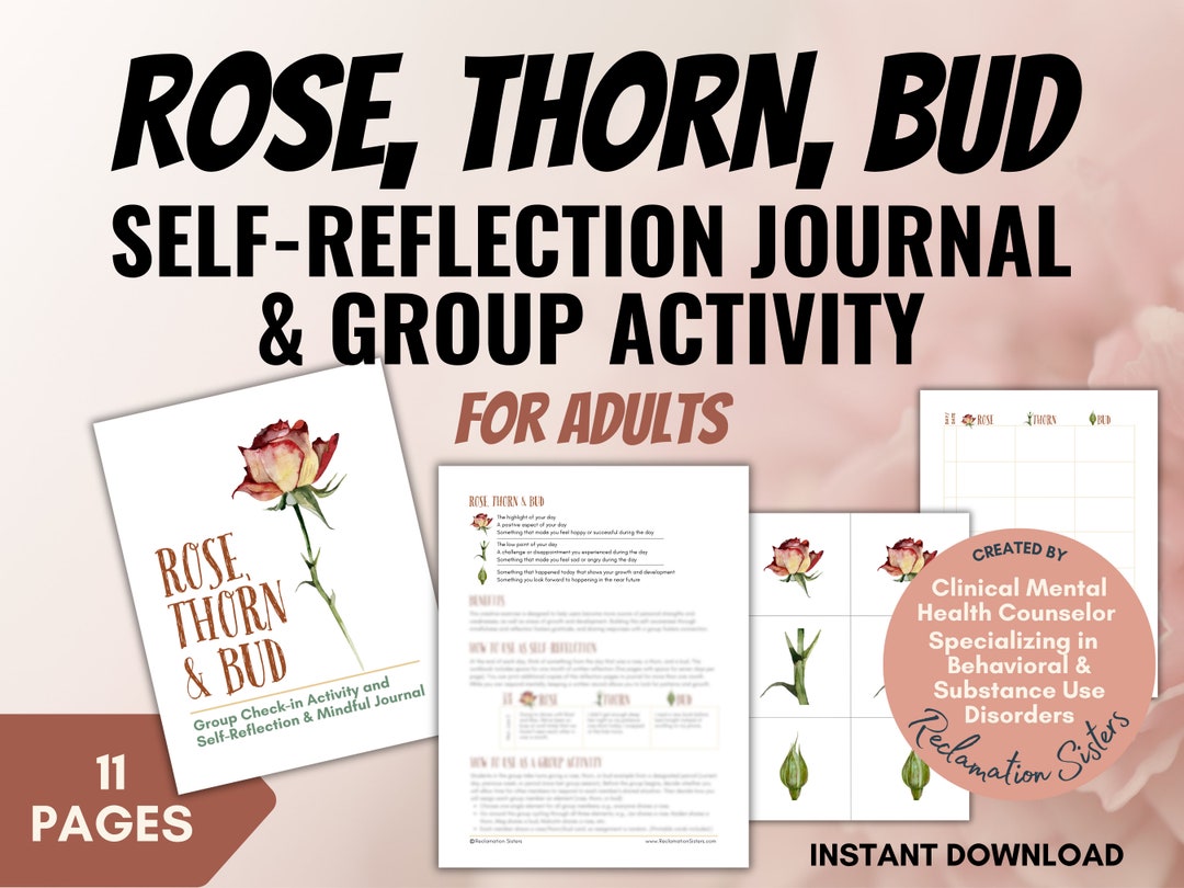 Rose Thorn Bud, Selfreflection Journal, Self Awareness, Group Check in