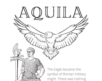 Eagle, Latin Coloring Page Aquila Single Printable
