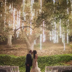 3/5/7/10-Ft LED Tree Hanging 110 Plug-in Lights: Warm White Bulb, Remote Control
