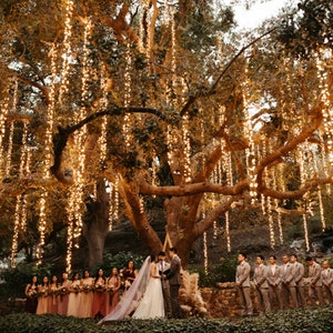 Battery-Powered Tree Hanging Lights. 10-Ft, 7-Ft, 5-Ft, or 3-Ft Strands of Light wedding lights long fairy lights No remote control image 10