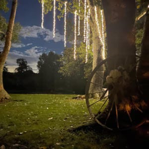 5Ft Tree Hanging Lights Plug-in Warm White LED, 8-Mode Remote - up to 8 Strands immagine 10