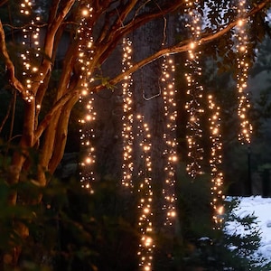 May include: A nighttime scene of a tree adorned with warm white string lights. The lights cascade down from the branches, creating a glowing, festive display. The tree's brown trunk and branches are visible against a dark background, with hints of snow and evergreen trees.
