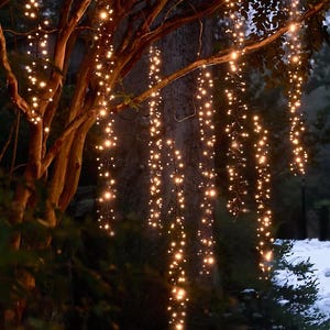 May include: A nighttime scene of a tree adorned with warm white string lights. The lights cascade down from the branches, creating a glowing, festive display. The tree's bark is visible, and the background includes evergreen trees and snow.