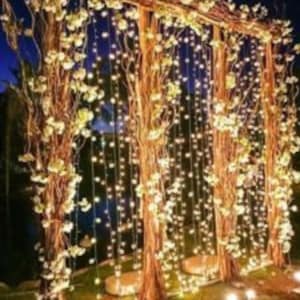 Lights used as back drop curtain light