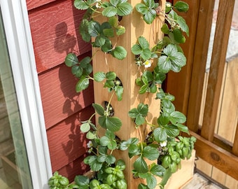 Strawberry Planter Tower Woodworking Plans | Build Plans for DIY Strawberry Planter | Instructions for How to Build a Strawberry Tower