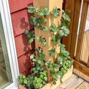 Holzbearbeitungspläne für den Erdbeerpflanzturm | Baupläne für einen DIY-Erdbeerpflanzer | Anleitung zum Bau eines Erdbeerturms