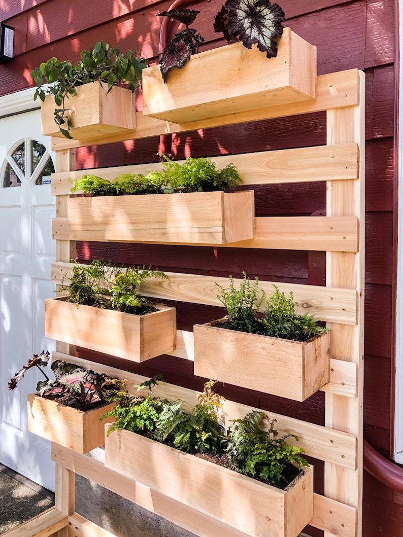 May include: A wooden wall planter with multiple shelves and boxes, each filled with various green plants. The planter is made of natural wood and has a rustic look.
