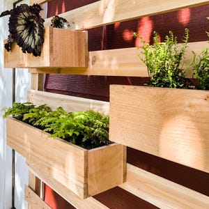 May include: A wooden wall planter with three rectangular boxes, each containing different types of green plants. The planter is mounted on a red and brown striped wall.