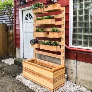 Vertikale Pflanzgefäßwand Holzbearbeitungspläne, große Pflanzgefäß-Baupläne, große Kräutergarten-Sichtschutzanweisungen, digitaler Download PDF